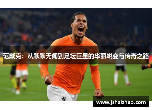 范戴克：从默默无闻到足坛巨星的华丽蜕变与传奇之路