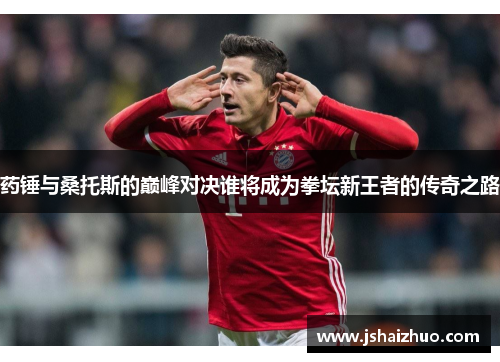药锤与桑托斯的巅峰对决谁将成为拳坛新王者的传奇之路