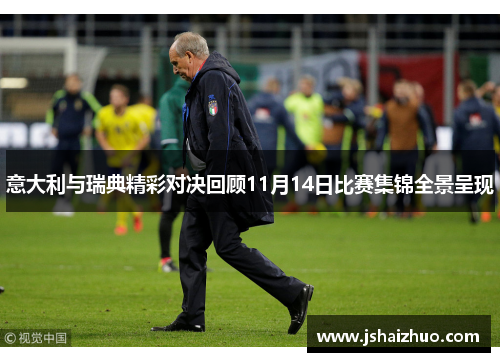意大利与瑞典精彩对决回顾11月14日比赛集锦全景呈现