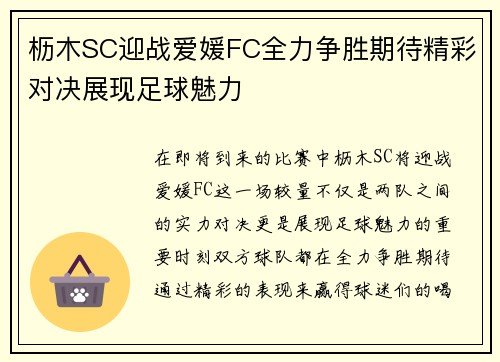 枥木SC迎战爱媛FC全力争胜期待精彩对决展现足球魅力